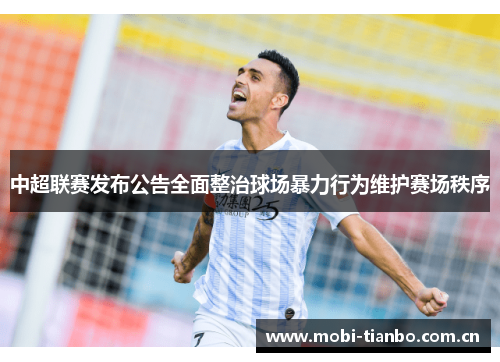 中超联赛发布公告全面整治球场暴力行为维护赛场秩序